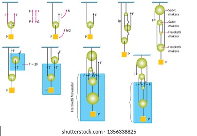 Physics Shapes - Simple Machines, Reels Subject - Course Types