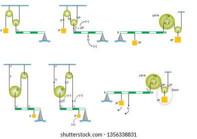 Physics Shapes - Simple Machines, Reels Subject - Course Types