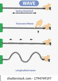 physics. spring stretched. transverse waves. longitudinal. The difference between throwing and periodic wave formation. longitudinal wave generation. periodically generated transverse waves. infograph