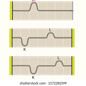 physics. spring stretched. transverse waves. longitudinal. The difference between throwing and periodic wave formation. longitudinal wave generation. periodically generated transverse waves. 