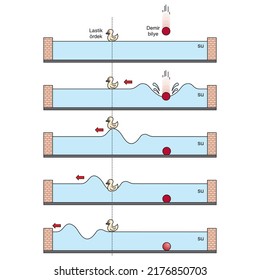 physics. spring stretched. transverse waves. longitudinal. The difference between throwing and periodic wave formation. longitudinal wave generation. periodically generated transverse waves