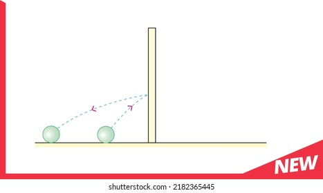 Physics, the subject of vectors, new generation question template, your question, eps, body mass motion physics, pressure physics