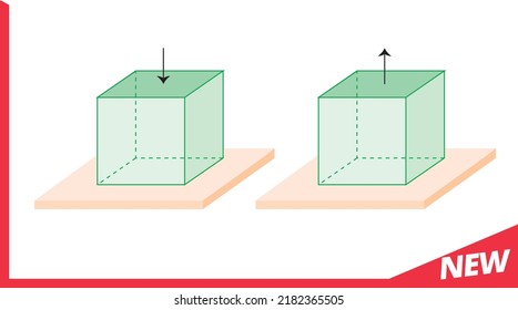Physics, the subject of vectors, new generation question template, your question, eps, body mass motion physics, pressure physics
