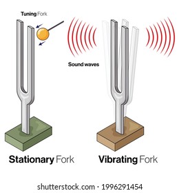 Physics Tuning Fork Experiment illustration in white background.