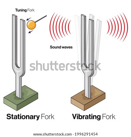 Physics Tuning Fork Experiment illustration in white background.