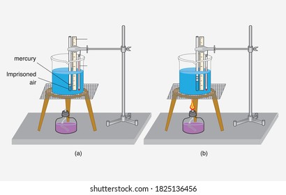 set up of experiment