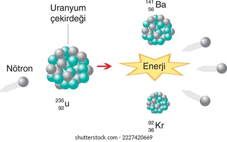 physics uranium core neutron bombardment reaction