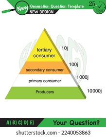 Physics, Vector Illustration of food chain - energy pyramid - educational infographic, question template, eps, for teacher