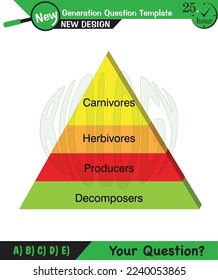 Física, Vector Ilustración de la cadena alimentaria - pirámide energética - infografía educativa, plantilla de preguntas, eps, para el profesor