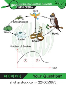 Physics, Vector Illustration of food chain - energy pyramid - educational infographic, question template, eps, for teacher