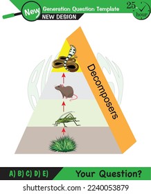 Physics, Vector Illustration of food chain - energy pyramid - educational infographic, question template, eps, for teacher