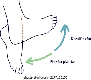 Physiotherapy, ankle moving and relieving pain