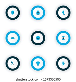 Physique icons colored set with butt, head, palm and other leg elements. Isolated vector illustration physique icons.