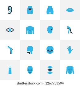 Physique icons colored set with chest, spine, oral cavity and other buttocks elements. Isolated vector illustration physique icons.