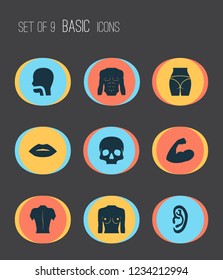 Physique icons set with butt, oral cavity, breast and other breath elements. Isolated vector illustration physique icons.