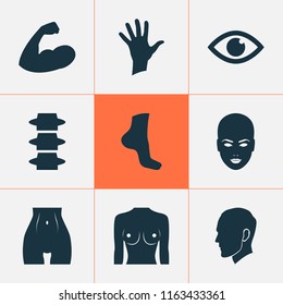 Physique icons set with face, eye, belly and other hand elements. Isolated vector illustration physique icons.