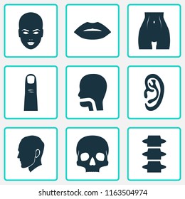Physique icons set with lip, belly, ear and other breath elements. Isolated vector illustration physique icons.