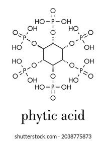 Phytic acid (hexakisphosphate, IP6, phytate) molecule. Present in seeds and grains of many plants, acting as storage form of phosphorus. Skeletal formula.