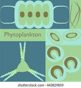 Phytoplankton. Vector Illustration With Small Organism Of Phytoplankton On Environmental Biological Nature Wildlife Theme.