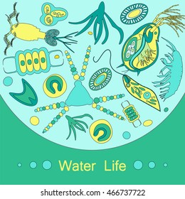 Phytoplankton And Zooplankton. Vector Illustration With Small Organism Of Plankton On Environmental Biological Nature Wildlife Theme.