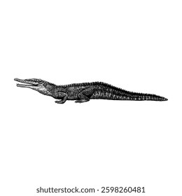 Phytosaurs hand drawing vector isolated on white background.