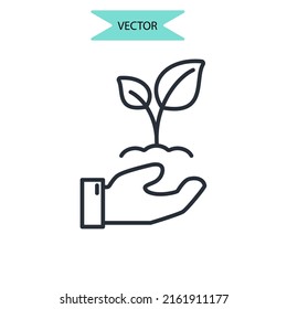 Símbolo de símbolos de fitoterapia elementos vectores para web infográfica