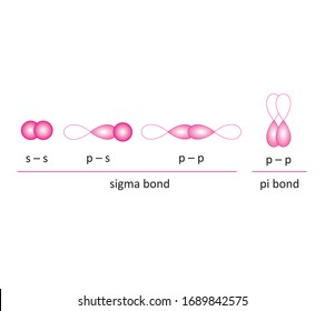 
pi and sigma bond vector