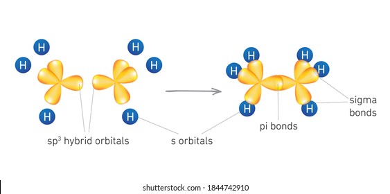 Pi And Sigma Bond Vector