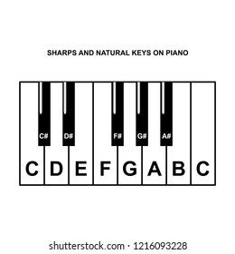 Piano keyboard diagram - piano keyboard layout    on white background vector illustration
