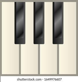 Piano keys isolated vector illustration