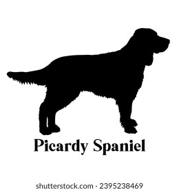Picardy Spaniel Dog silhouette dog breeds logo dog monogram logo dog face vector