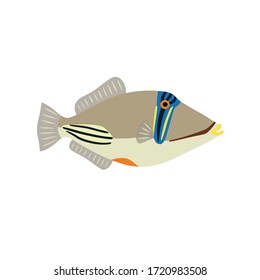 Picasso triggerfish fish icon on white background. Vector illustration.