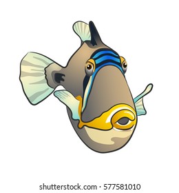 Picasso triggerfish. fish isolated on white background