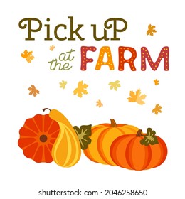 Pick up pumpkins at Farm flat color vector banner. Fall season pumpkin patches cartoon design element. Autumn vegetables harvest background. Pumpkin picking Festival Market fun template illustration.