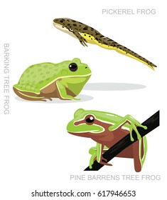 Pickerel Frog Set Cartoon Vector Illustration