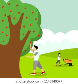 Picking Apple Illustration Vector