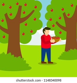 Picking Apple Illustration Vector