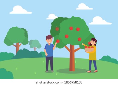 Picking apple vector concept: Little boy and girl picking apple on the tree while gathering apples on the basket