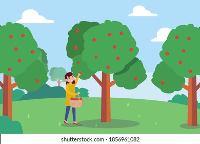 Picking apple vector concept: Little girl picking apple on the tree while carrying basket