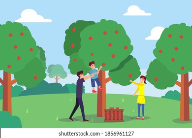 Picking apple vector concept: Young parents and little son picking apple together while enjoying leisure time