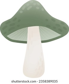 Picking mushrooms in the autumn