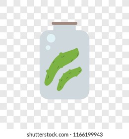 Pickle vector icon isolated on transparent background, Pickle logo concept