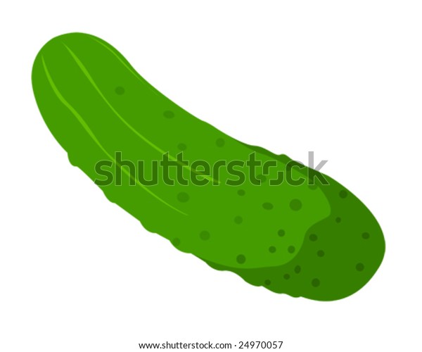 Pickle Vector Illustration Stock Vector Royalty Free 24970057 Pickle Vector Illustration Stock Vector Royalty Free 24970057