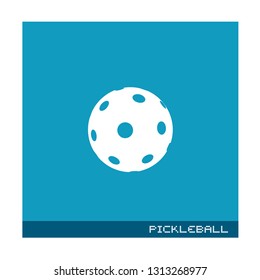 Pickleball flat icon