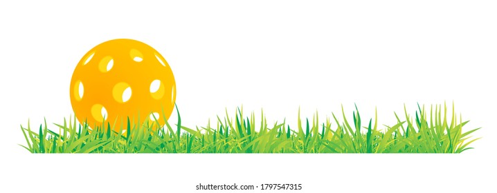 Pickleball with green grass vector illustration on white background