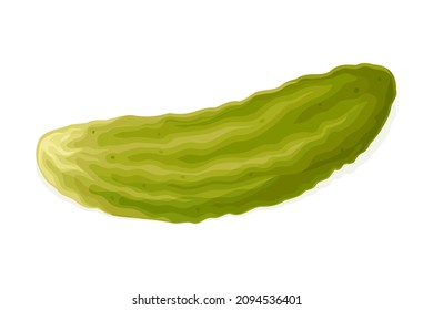 Pickled Cucumber or Gherkin Isolated on White Background Vector Illustration