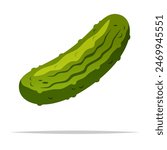 Pickled cucumber vector isolated illustration