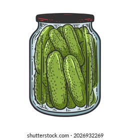 pickled cucumbers color sketch engraving vector illustration. T-shirt apparel print design. Scratch board imitation. Black and white hand drawn image.