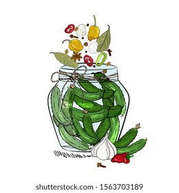 pickled cucumbers with spices in a glass jar. Home-made canning. Hand drawing. Cucumbers, garlic, pepper, bay leaf.
