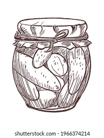 Pickled cucumbers vegetables in a glass jar. Ingredients for pickling cucumbers. Vector drawn line art illustration